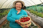 Feria de emprendimientos campesinos llega a Bucaramanga