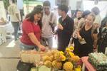 San Gil recibirá encuentro de Economías para la Vida