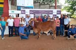 Feria Ganadera de El Socorro 2026 espera mover $3.500 millones en negocios
