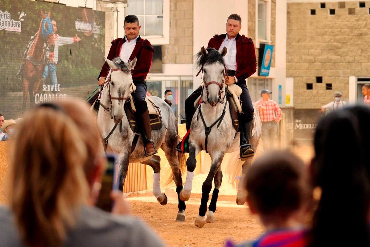 Al galope y con una variada programación para pequeños y grandes, hoy se cumple el primer gran domingo de la Feria Ganadera.