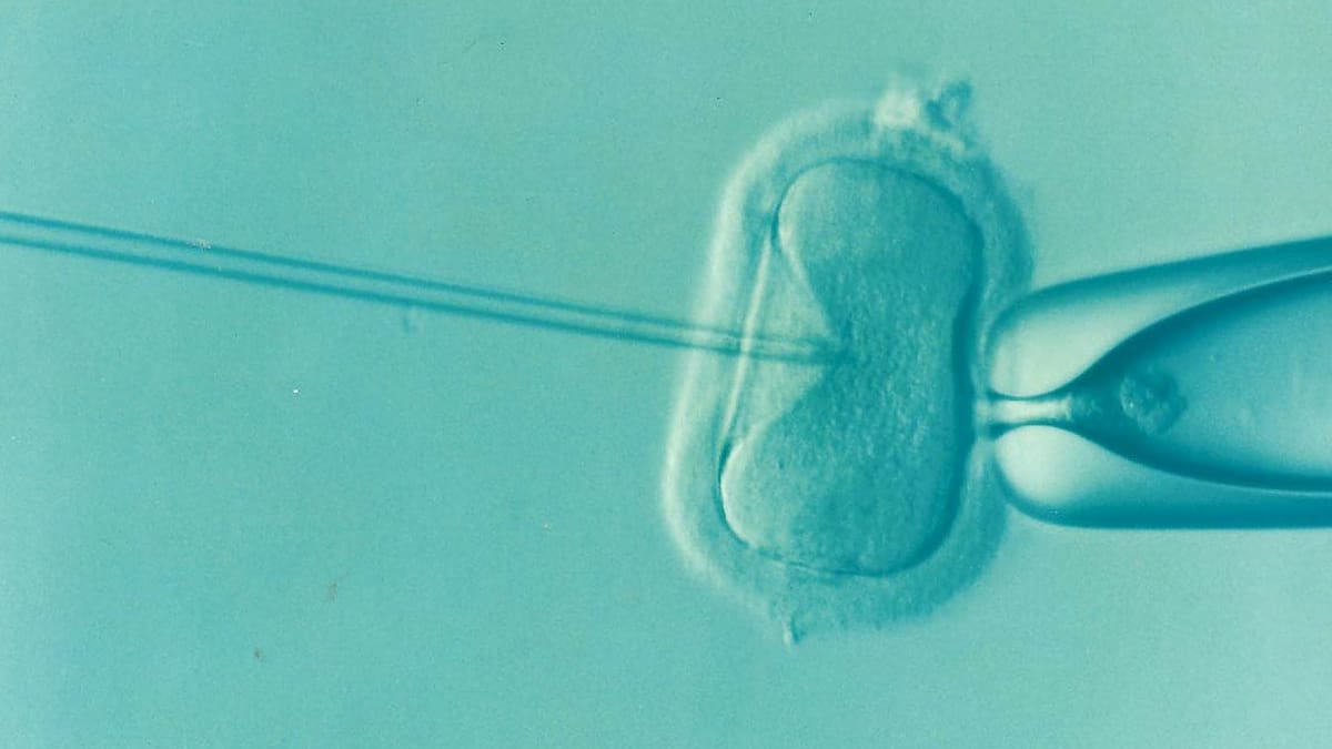 Los altos costos de la reproducción asistida y su carga en las familias.