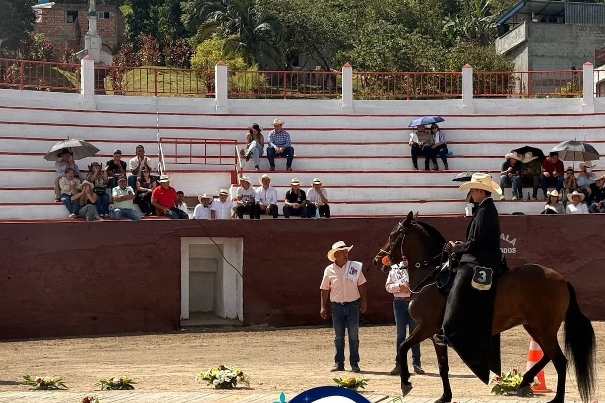El Festival Equino reunió a los mejores ejemplares del país.