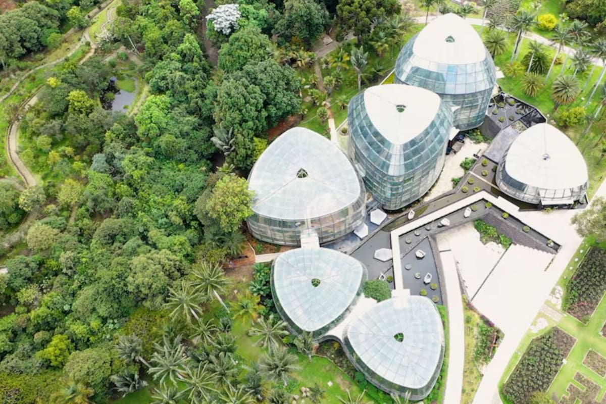 Féstival Estéreo Botánico transforma el espacio natural en un punto de encuentro entre la biodiversidad y la cultura. Foto: Jardín Botánico de Bogotá