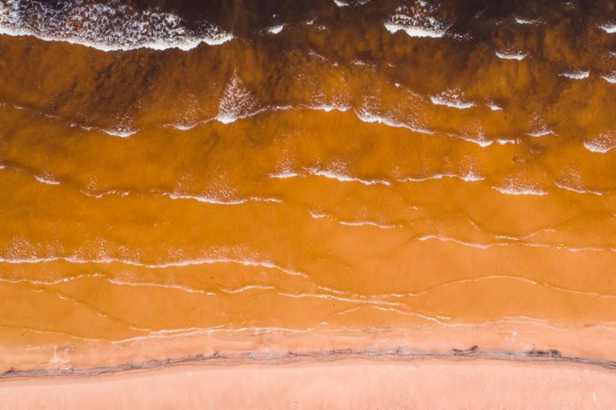 Los científicos trabajan para conocer el significado del color amarillo del mar Negro. Twitter / VANGUARDIA