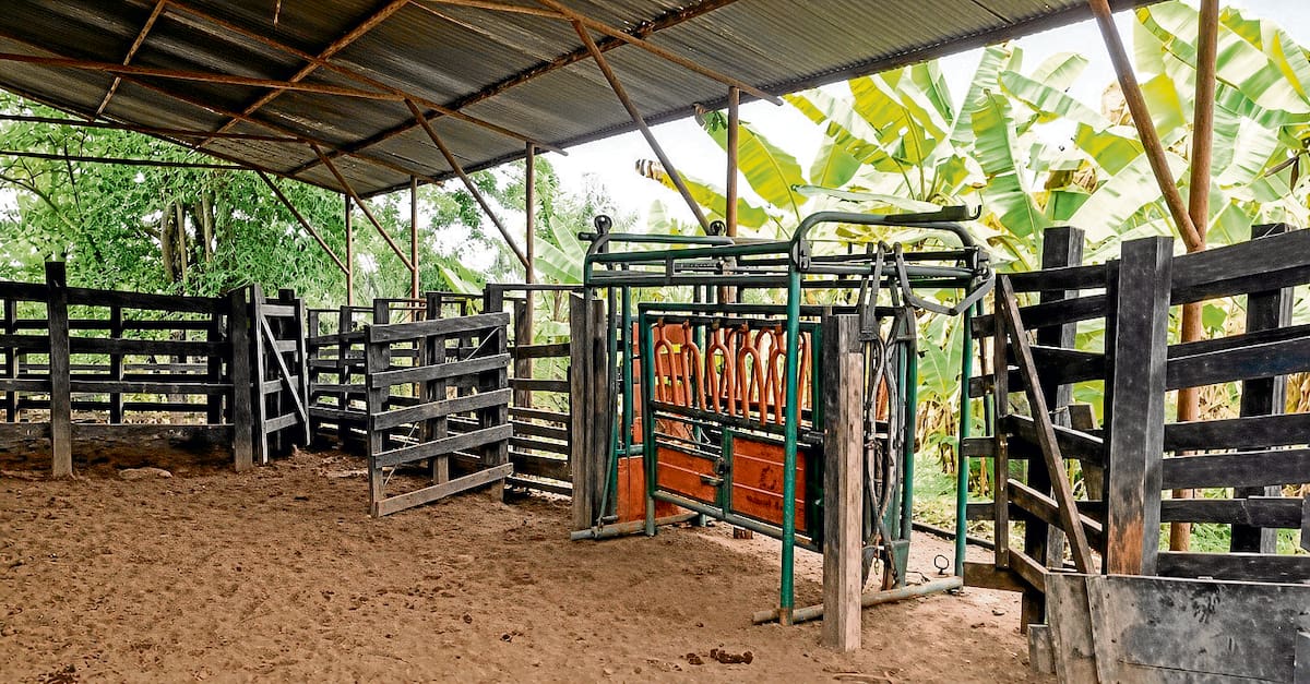 La finca también tiene un espacio adecuado para ganadería.
Foto: suministrada/VANGUARDIA.