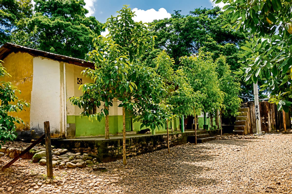 La finca Puerto Rico, ubicada en Yarima, jurisdicción de San Vicente de Chucurí, en el Magdalena Medio santandereano.
Foto: Suministrada/VANGUARDIA.