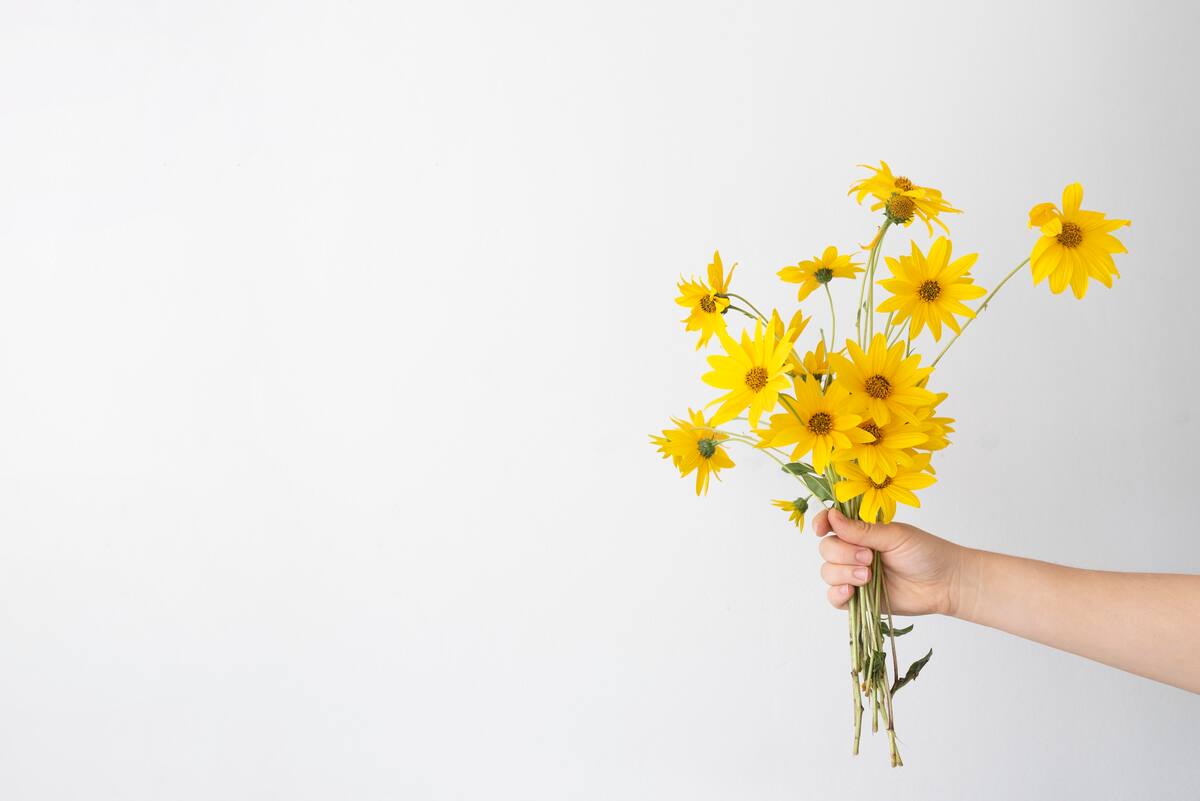 Descubre por qué en marzo se regalan flores amarillas, cuál es la fecha clave en México y EE.UU., y qué significado tiene esta tendencia viral.