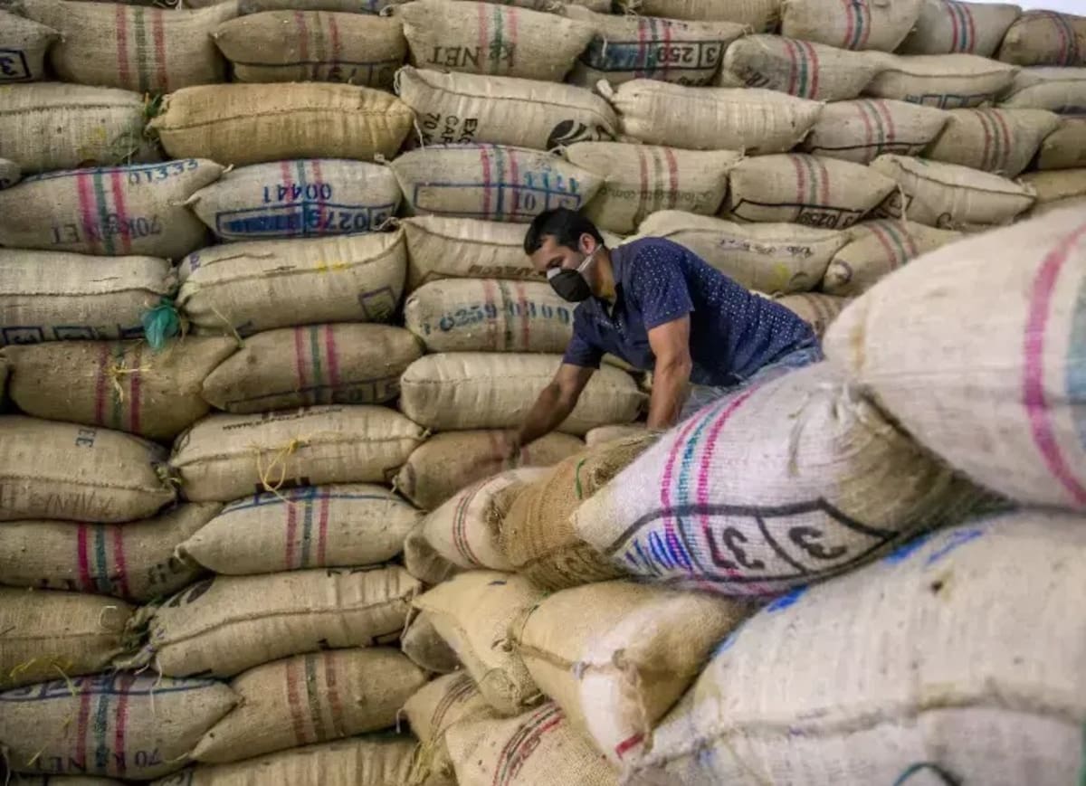 La producción de 2025 en el departamento fue de 490.000 cargas de café de 125 kilos.