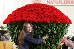 En imágenes: El colorido universo de las flores colombianas se exhibió en Bogotá