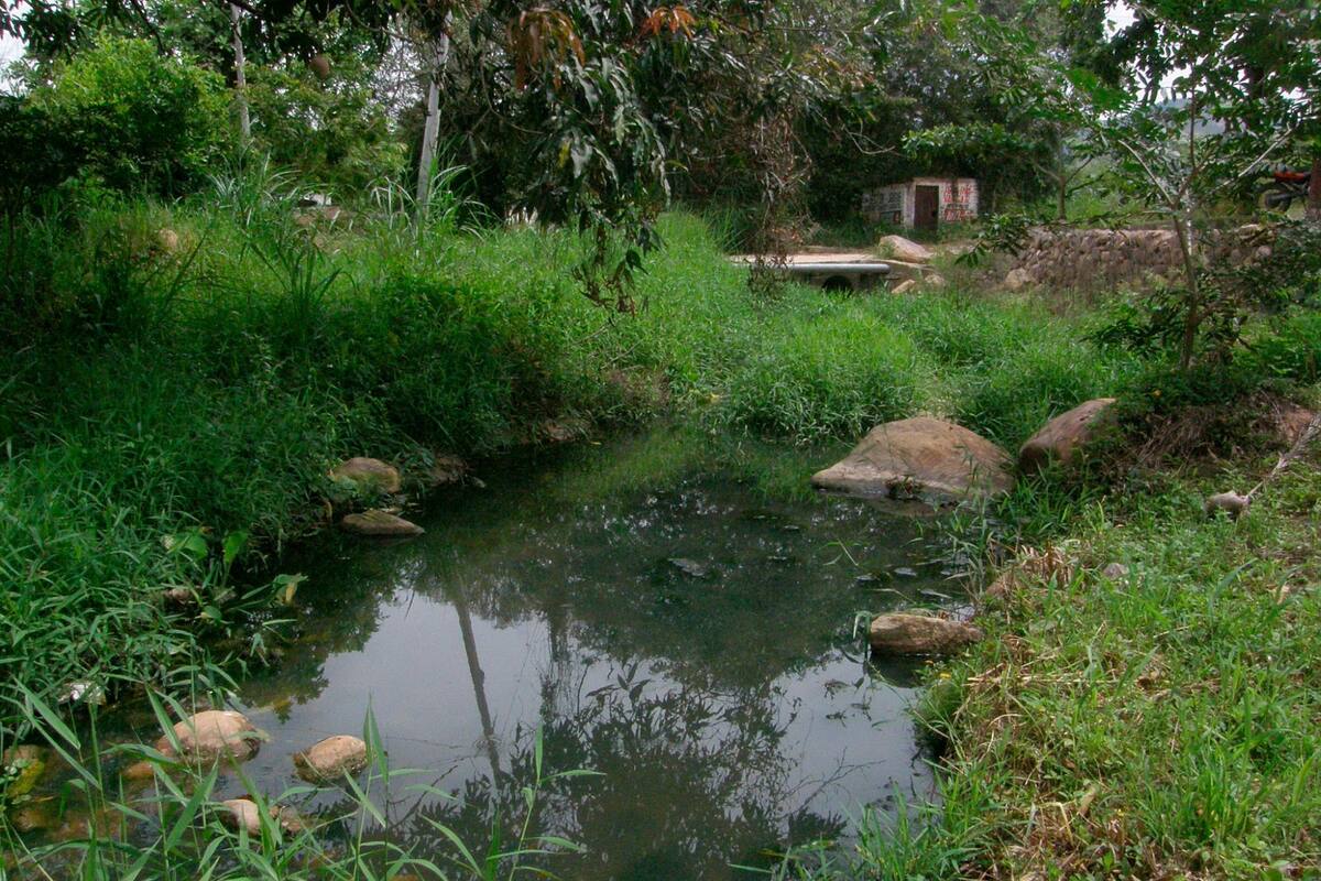 Consecuencia del mal funcionamiento de la Ptar, no se remueve el 80% de la carga contaminante que llevan las aguas residuales provenientes de la cárcel y que terminan en la quebrada El Palmar. (Foto: Archivo / VANGUARDIA)