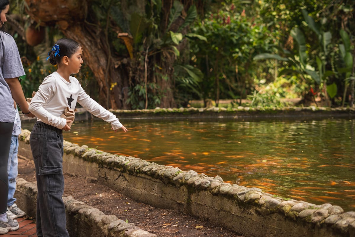 Jardín Botánico Eloy Valenzuela, un encuentro con la magia de la naturaleza. (Foto: Byron Pérez / VANGUARDIA)