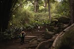 Jardín Botánico Eloy Valenzuela: la historia detrás de este paraíso natural