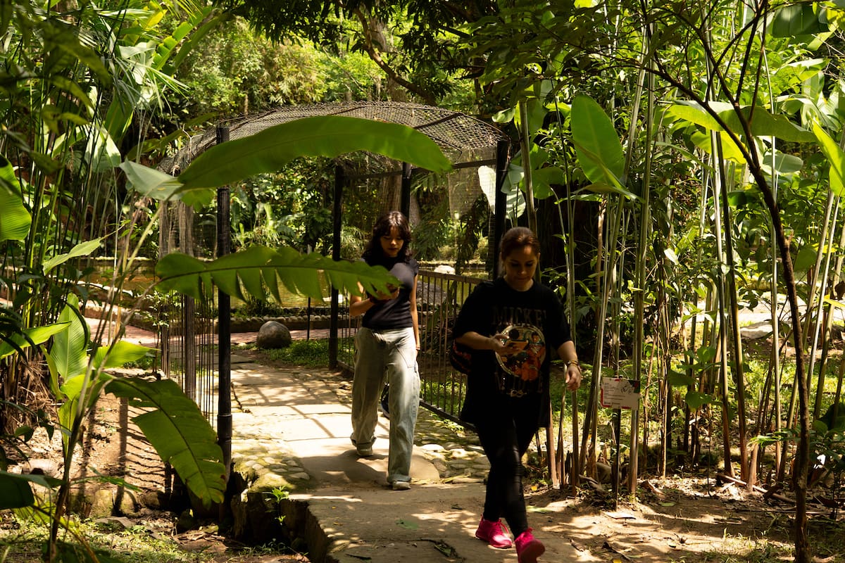 Jardín Botánico Eloy Valenzuela, un mundo verde por descubrir. (Foto: Byron Pérez / VANGUARDIA)