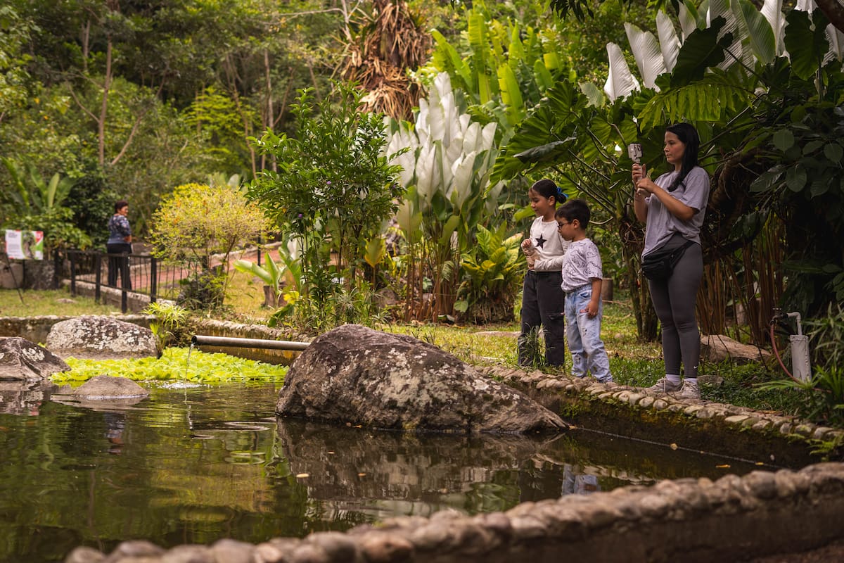 Jardín Botánico Eloy Valenzuela, la belleza natural que merece ser descubierta. (Foto: Byron Pérez / VANGUARDIA)