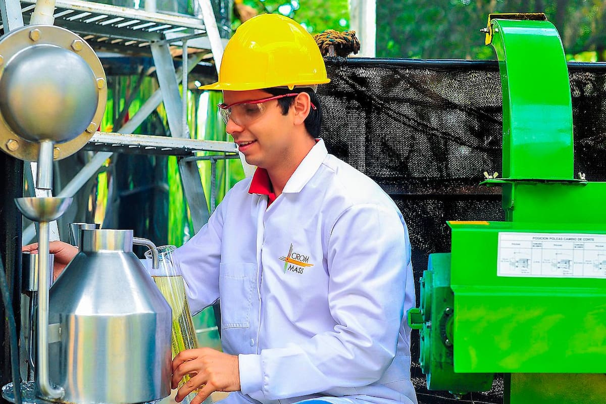 Proceso de destilación primaria del aceite esencial de la planta aromática palmarrosa. (Foto: Suministrada/VANGUARDIA)
