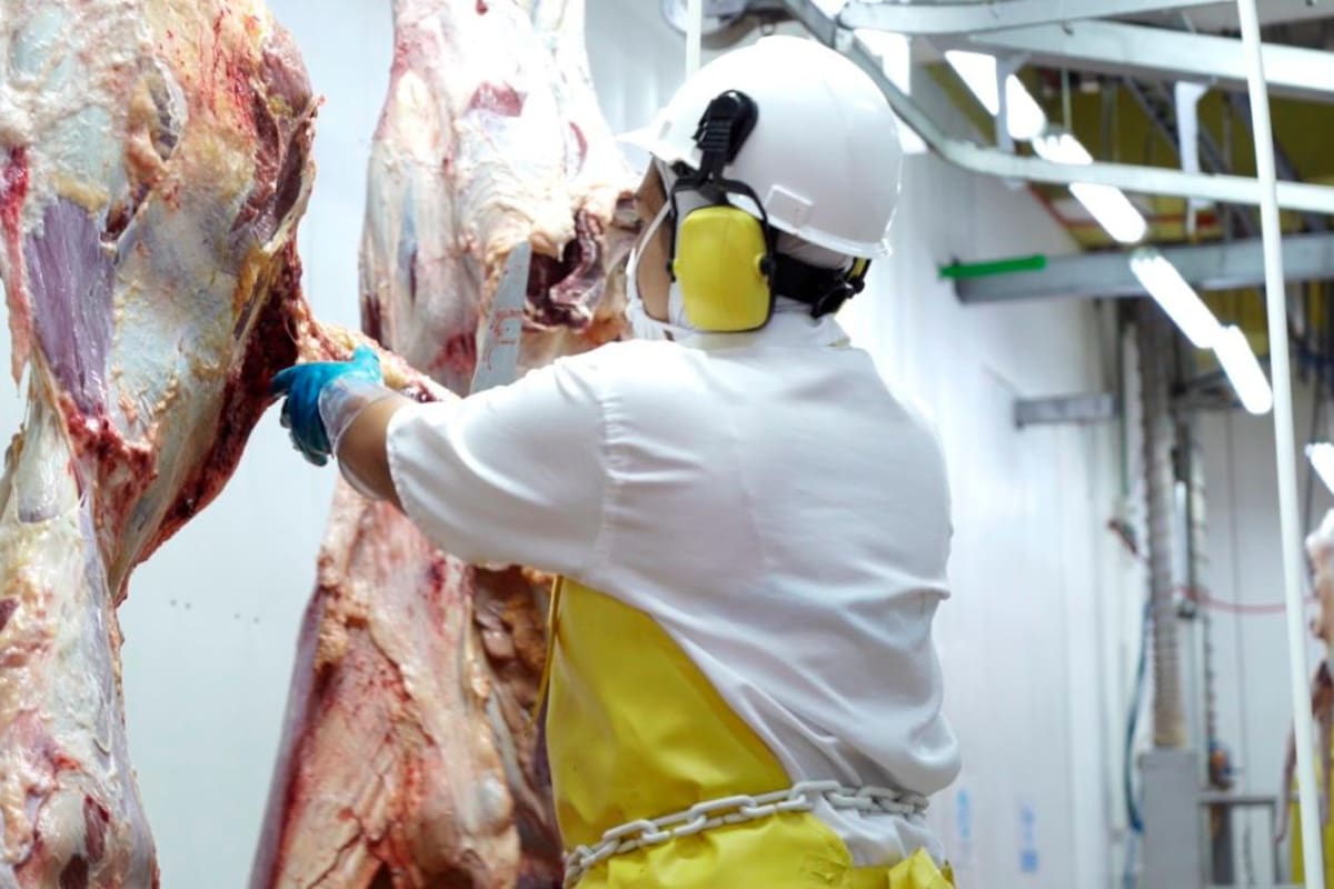 Fedegán pidió al Gobierno controlar la intermediación porque rompe la cadena productiva de la carne y, además de eso, especula con los precios de este alimento básico. Suministrada / VANGUARDIA