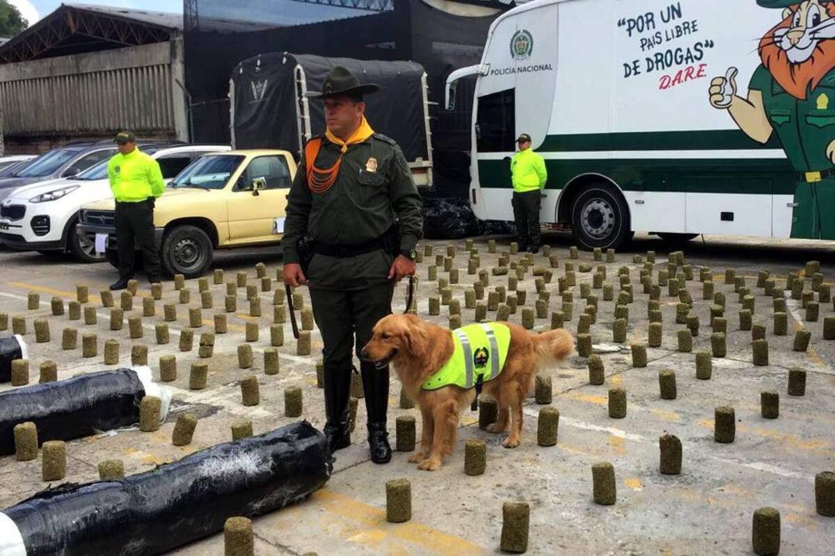 El conductor de 40 años venía desde Antioquia y tenía como destino la Costa Atlántica. (Foto: Suministrada/VANGUARDIA LIBERAL)