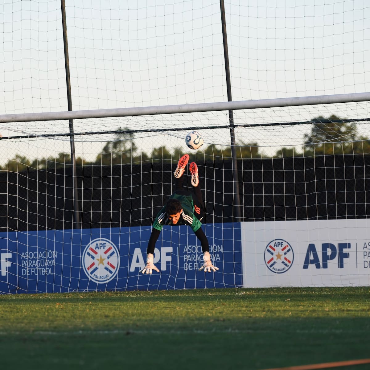 El arquero santandereano Freyder Alexis Celis Vega hizo parte de la selección Colombia que se quedó con el título del Campeonato Sudamericano Sub-17. Foto: FCF.
