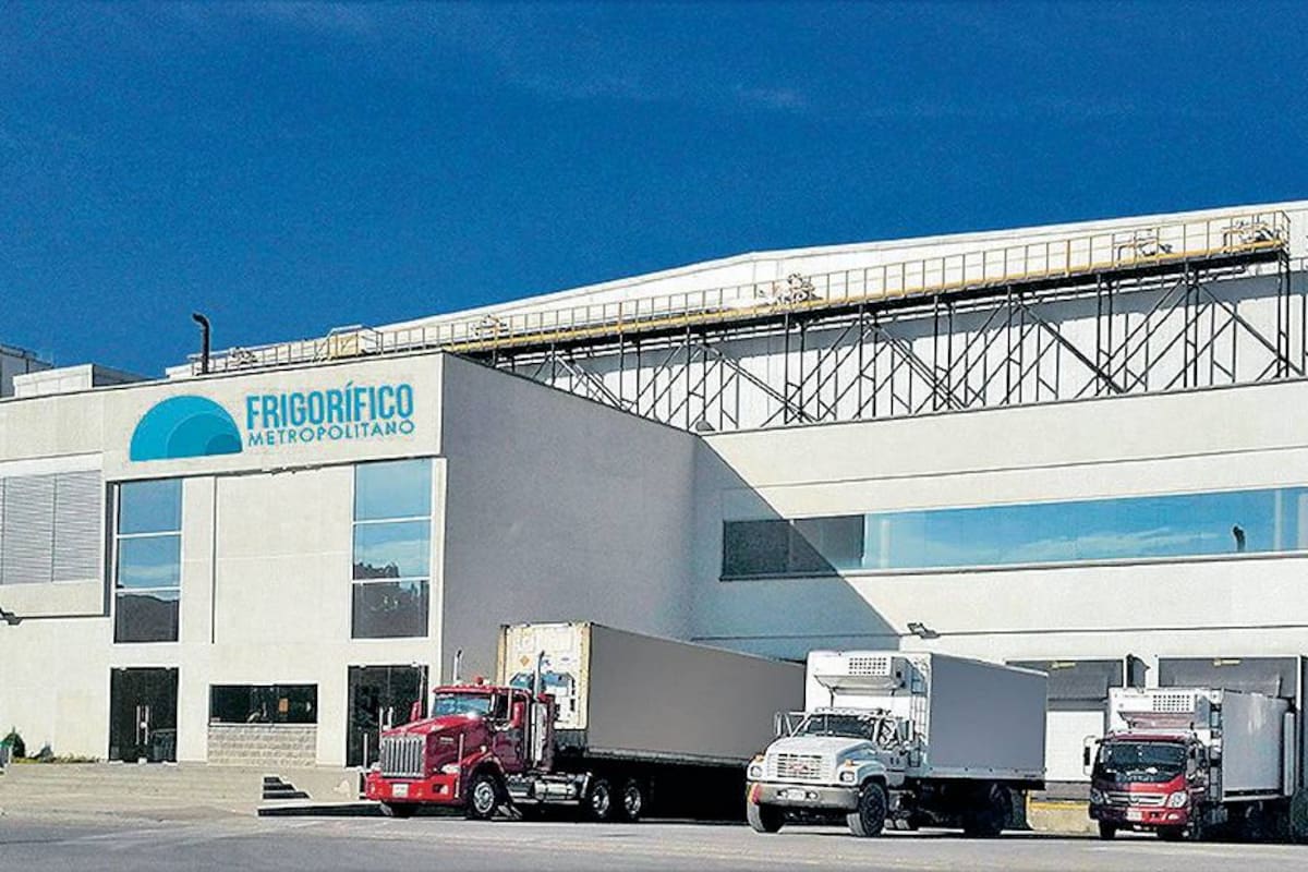 Logistics Cluster es un proyecto que reunirá a empresas vinculadas con el procesamiento y comercialización de productos perecederos. (Foto: Suministrada Frigorífico/VANGUARDIA LIBERAL)