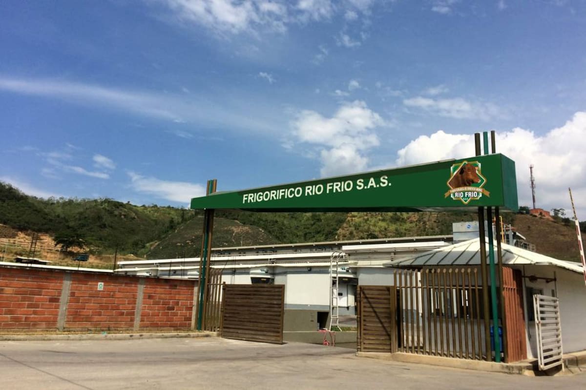La empresa está dedicada a prestar el servicio de beneficio, industrialización, conservación y comercialización de ganado bovino y bufalino. (Foto: Suministrada Frigorífico Río Frío / VANGUARDIA LIBERAL)