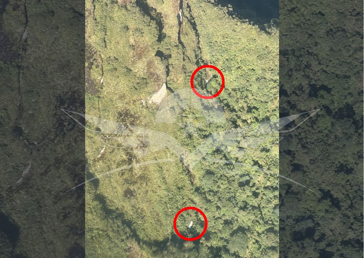 Fuerza Aérea habría encontrado la avioneta desaparecida en Chocó. // Foto: Colprensa.
