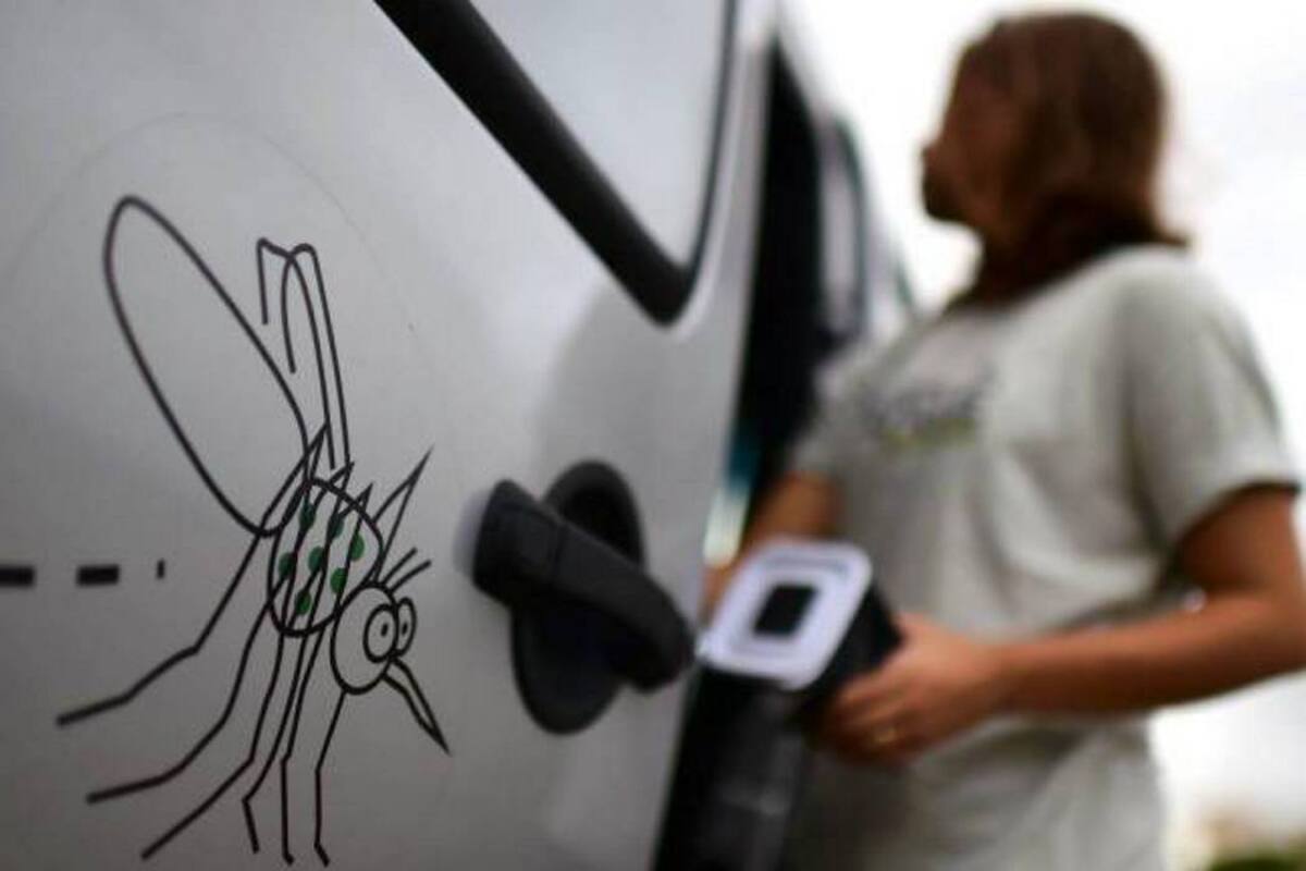 Los criaderos del aedes aegypti se encuentran principalmente dentro de los hogares. Al implementar las medidas de prevención se reduce el riesgo de dengue y chikunguña. (Foto: Archivo /VANGUARDIA LIBERAL)