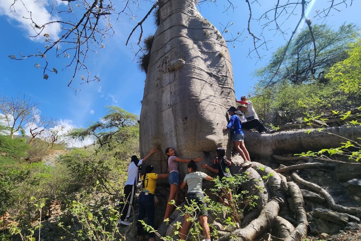 Suministrada (Fondo Emerger, Fundación Caminos Nativos, Junta de Acción Comunal, Asociación de Guías del Cañón del Chicamocha) /Vanguardia