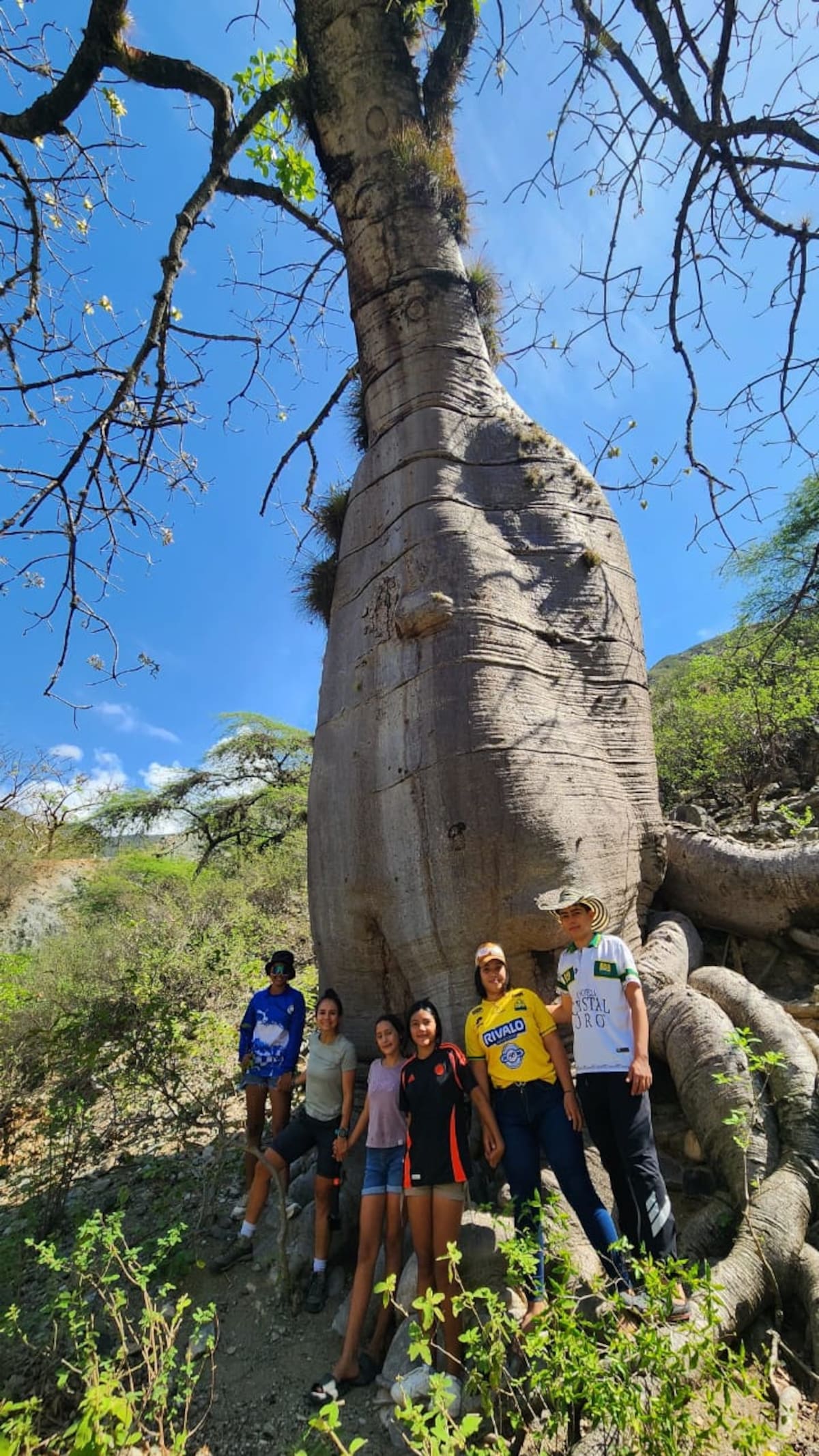 Suministrada (Fondo Emerger, Fundación Caminos Nativos, Junta de Acción Comunal, Asociación de Guías del Cañón del Chicamocha) /Vanguardia