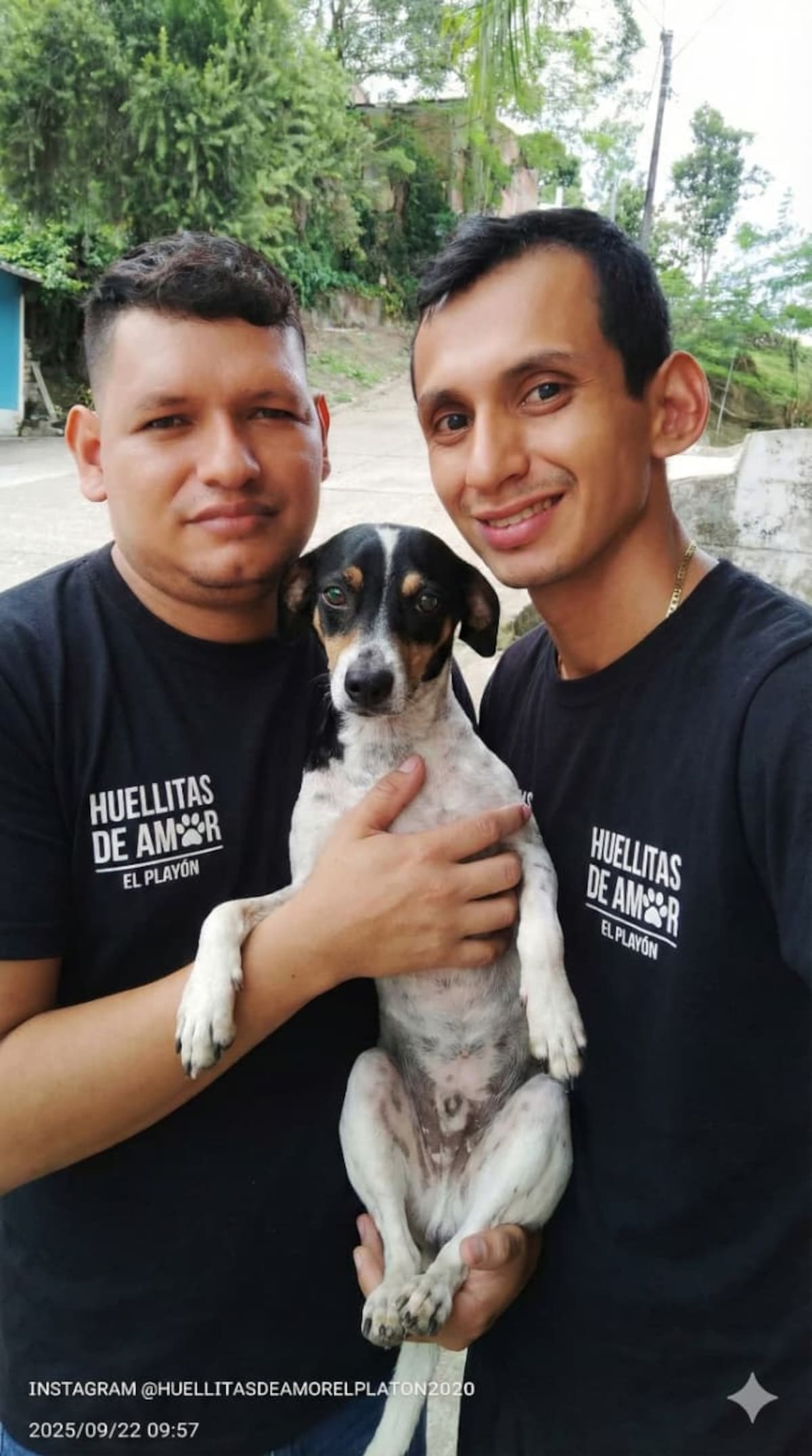 Suministrada/Vanguardia