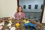 Funga, la exposición en Bucaramanga que invita a descubrir el universo oculto de los hongos