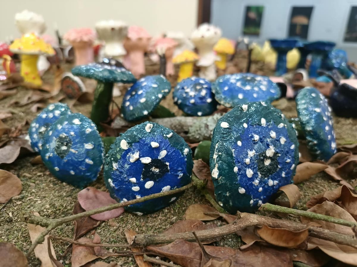 Funga, la exposición que invita a descubrir los hongos y sus secretos en Bucaramanga