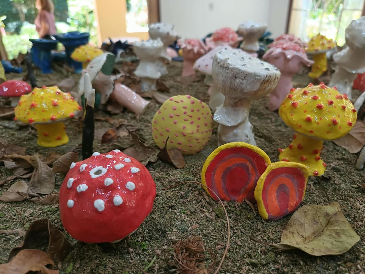 Más de 150 piezas de cerámica dan vida a Funga, una exposición sobre los hongos en Bucaramanga.