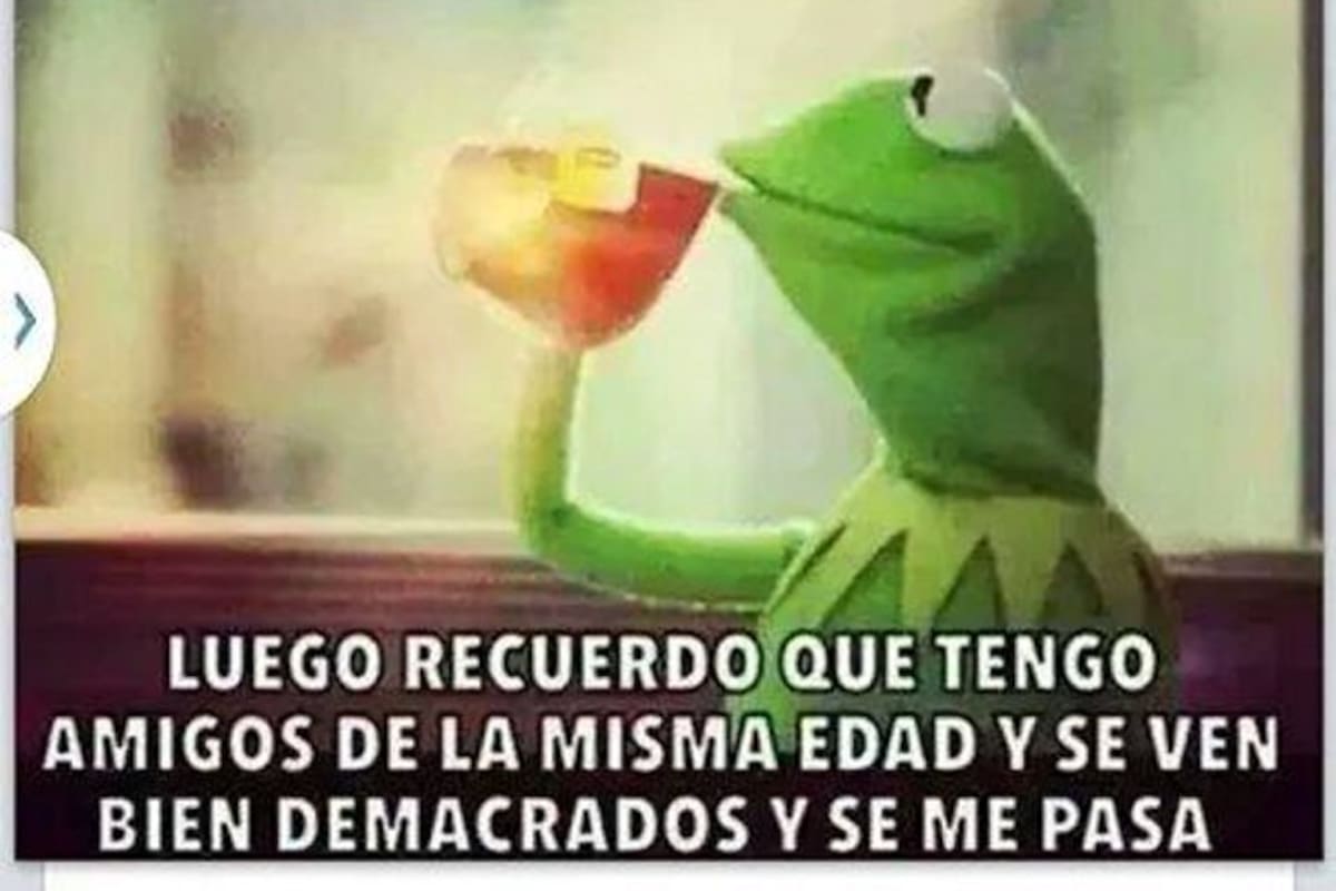 Mamaaaa Meme Rene Los memes que convirtieron a la rana René en contenido viral de redes