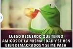 Los memes que convirtieron a la rana René en contenido viral de redes