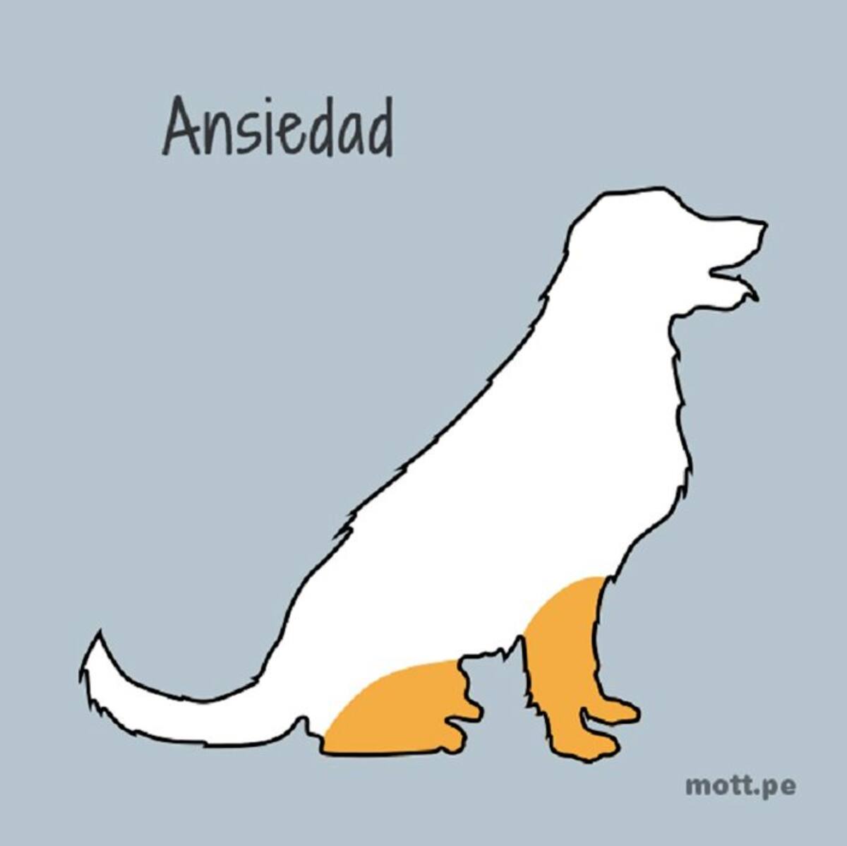 9. La ansiedad de un perro puede llevarlo a problemas graves de estrés (Foto: Tomado de Mott.pe /VANGUARDIA LIBERAL)