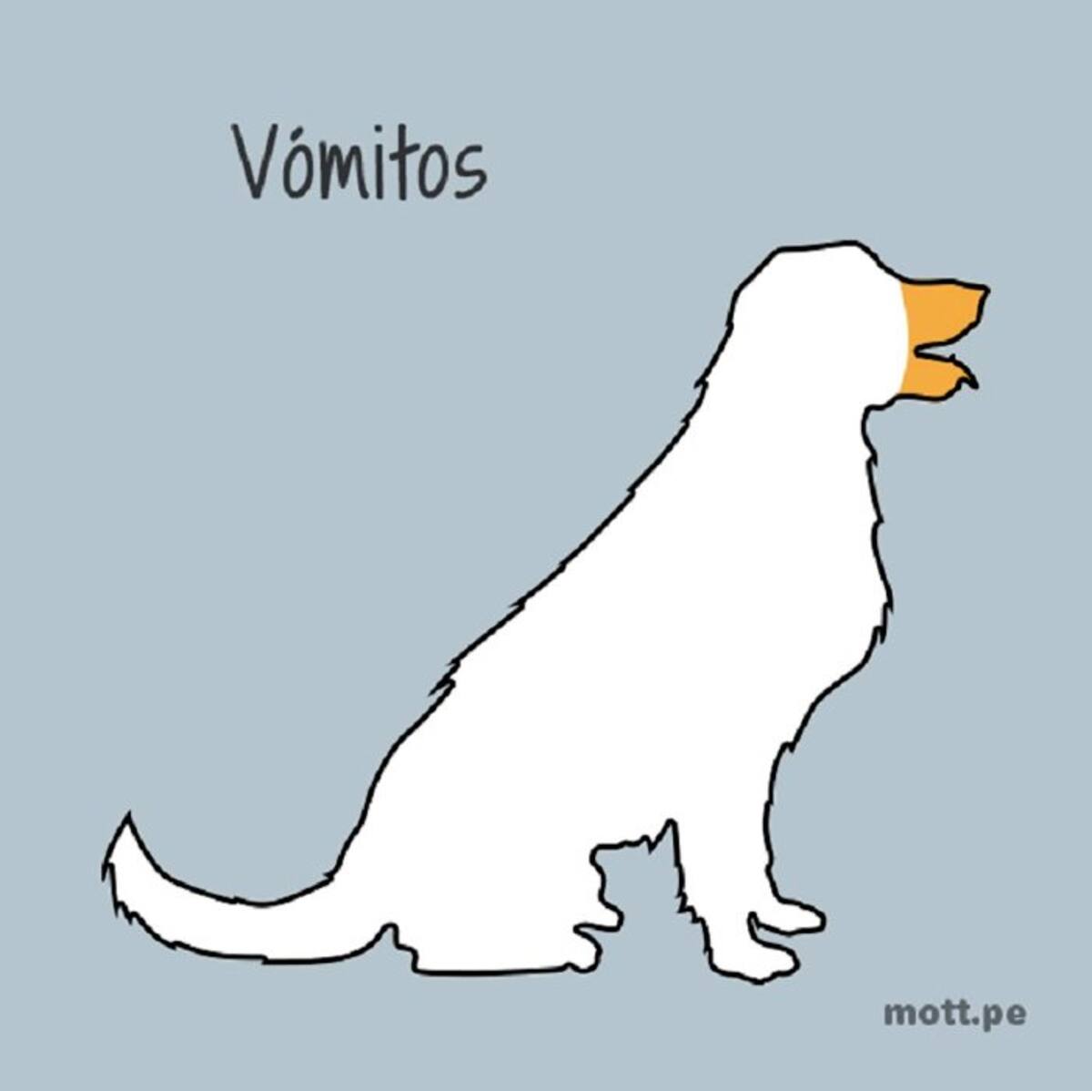 10. Cuando el vomito de un perro es constante, hay que preocuparse (Foto: Tomado de Mott.pe /VANGUARDIA LIBERAL)