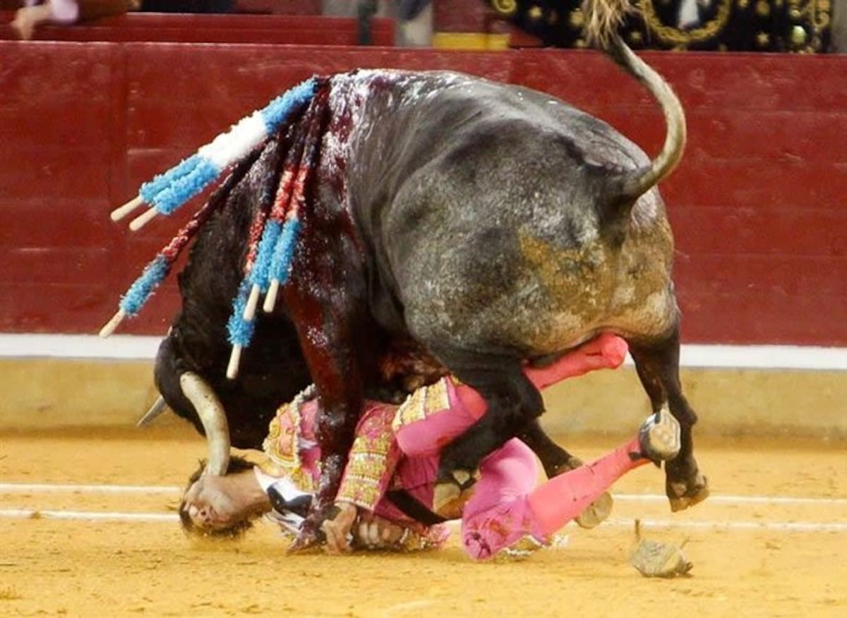 El toro hundió su pitón izquierdo en la cara del torero cuando este salía de un par de banderillas. (Foto: EFE/ Vanguardia Liberal)