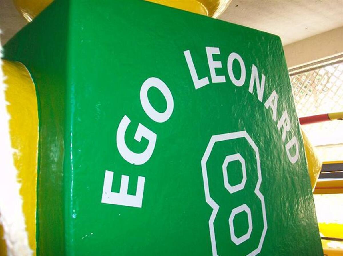 "Un bañista encontró al 'hombre', que provisionalmente ha sido identificado como 'Ego Leonard", el nombre que aparece en la espalda de la camiseta, explicó hoy un portavoz de la oficina del alguacil del condado de Sarasota. (Foto: Efe/VANGUARDIA LIBERAL)