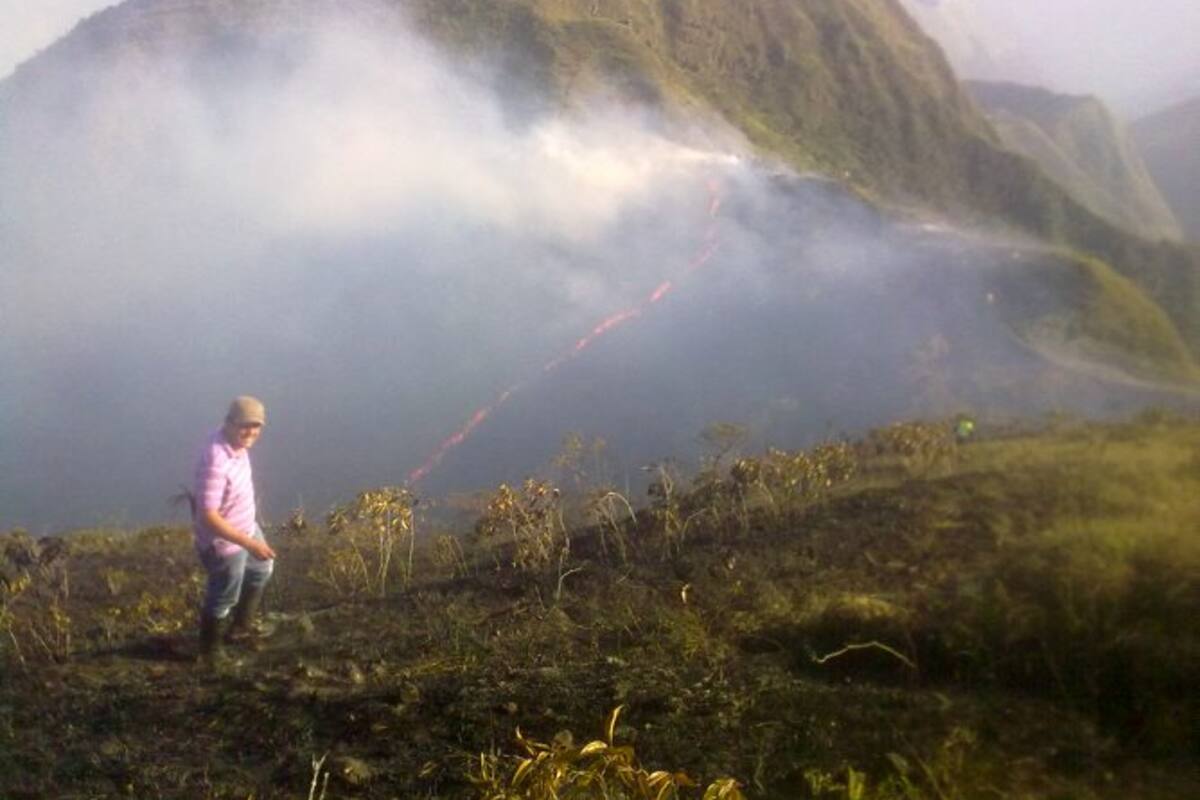 Incendio consumió 100 hectáreas de bosque en Contratación, Santander (Foto: Suministrada/ Vanguardia Liberal)