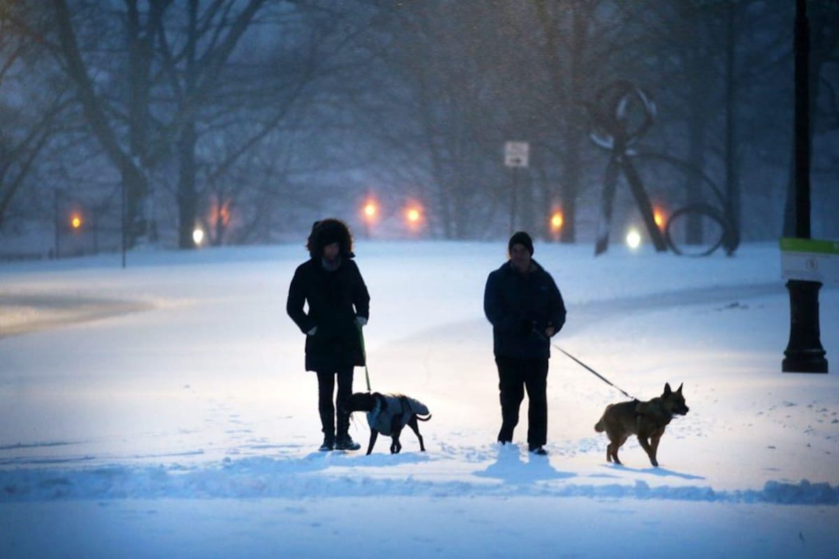 Nueva York recibió una nevada inferior a lo previsto, pero parecía una ciudad fantasma a apenas una semana del inicio oficial de la primavera, con la visibilidad seriamente reducida y las calles blancas, semidesiertas. (Foto: AFP/VANGUARDIA LIBERAL)