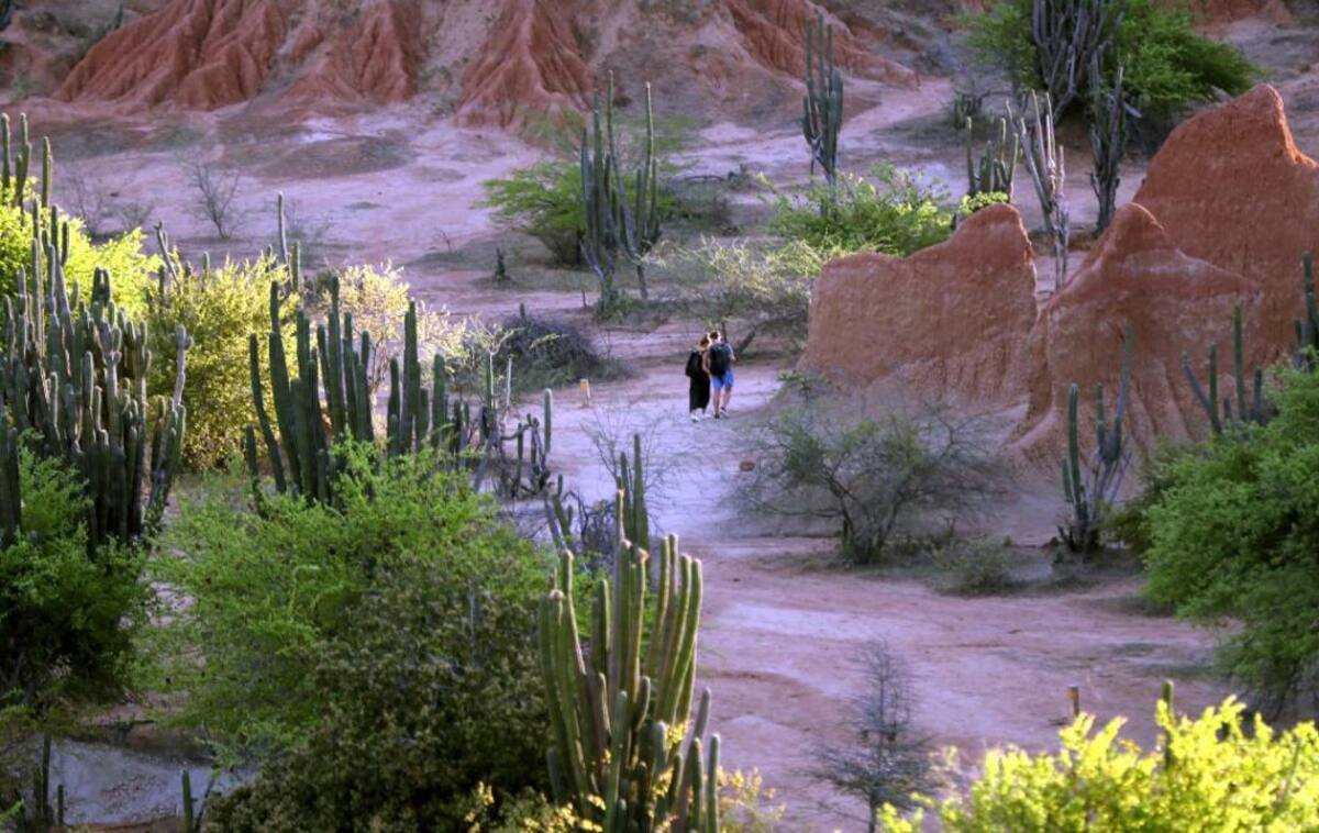 Astrónomos y turistas atraídos por el encanto del cielo del Desierto de La Tatacoa (Foto: EFE /VANGUARDIA LIBERAL)
