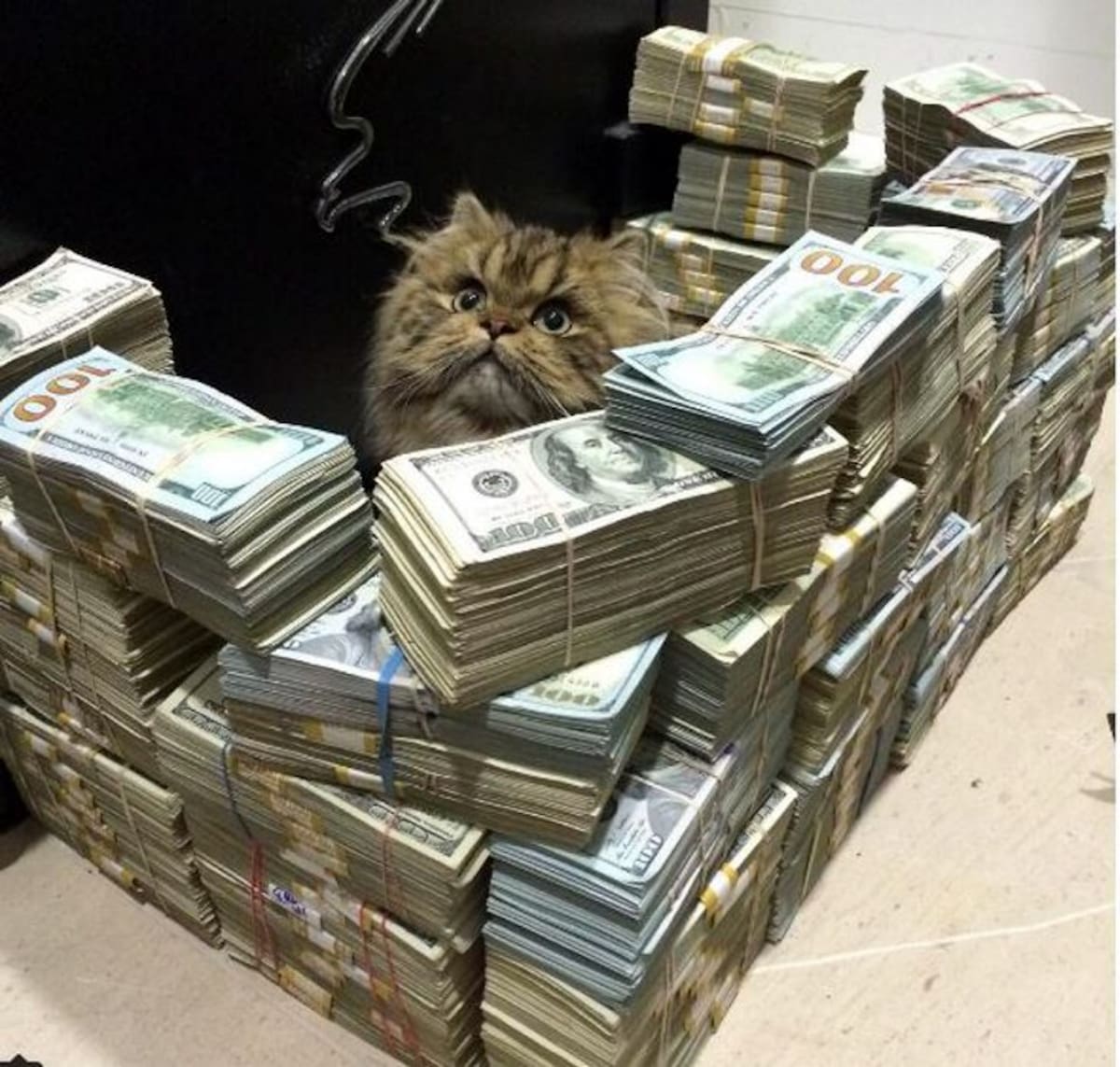 La historia detrás de Dan Bilzerian, "El rey de Instagram" (Foto: Tomada de Instagram danbilzerian/VANGUARDIA LIBERAL)