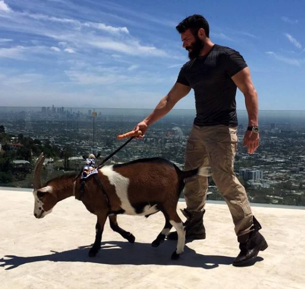 La historia detrás de Dan Bilzerian, "El rey de Instagram" (Foto: Tomada de Instagram danbilzerian/VANGUARDIA LIBERAL)