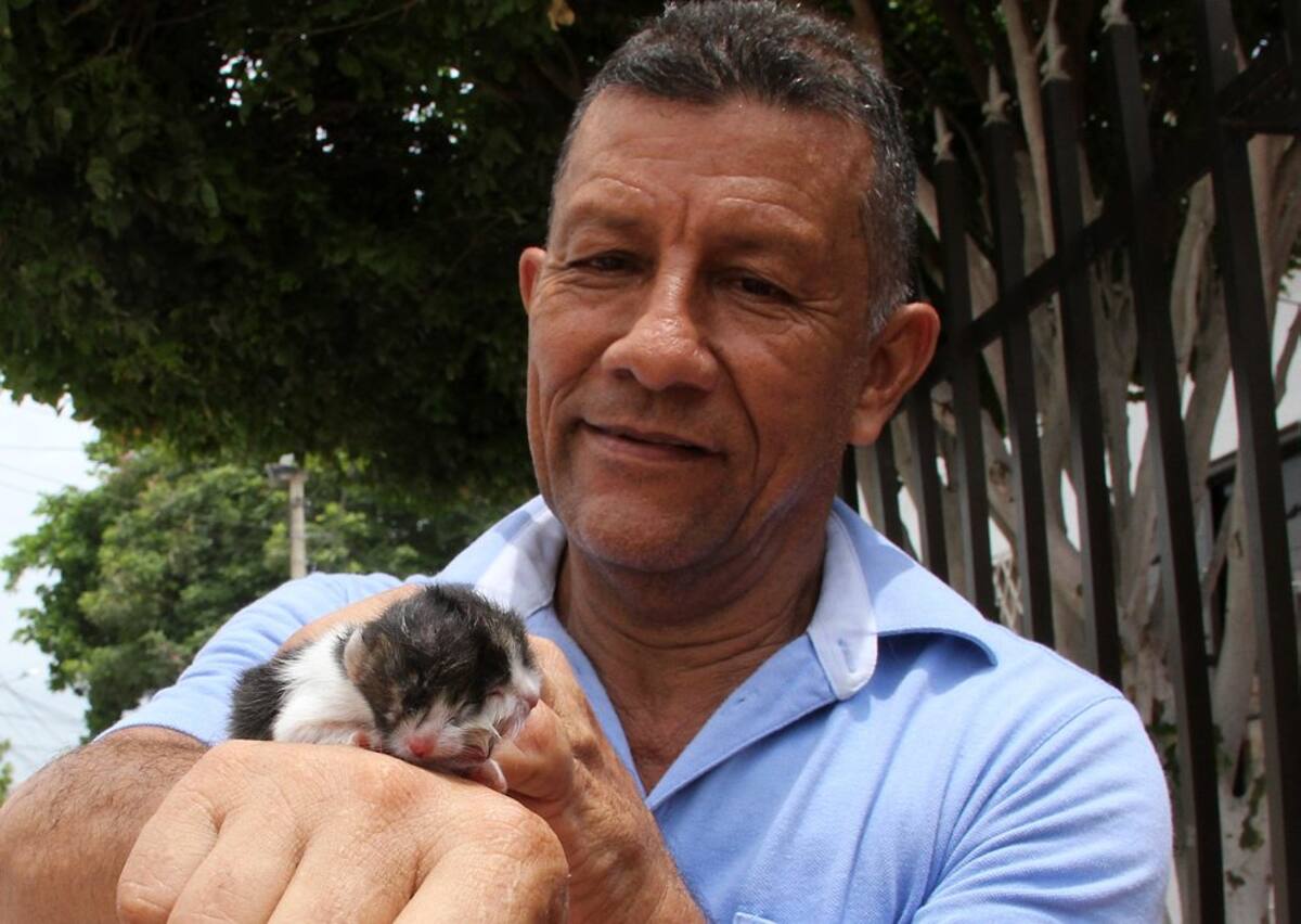 Imágenes del gato 'barranquillero' de dos cabezas (Foto: COLPRENSA/VANGUARDIA LIBERAL)