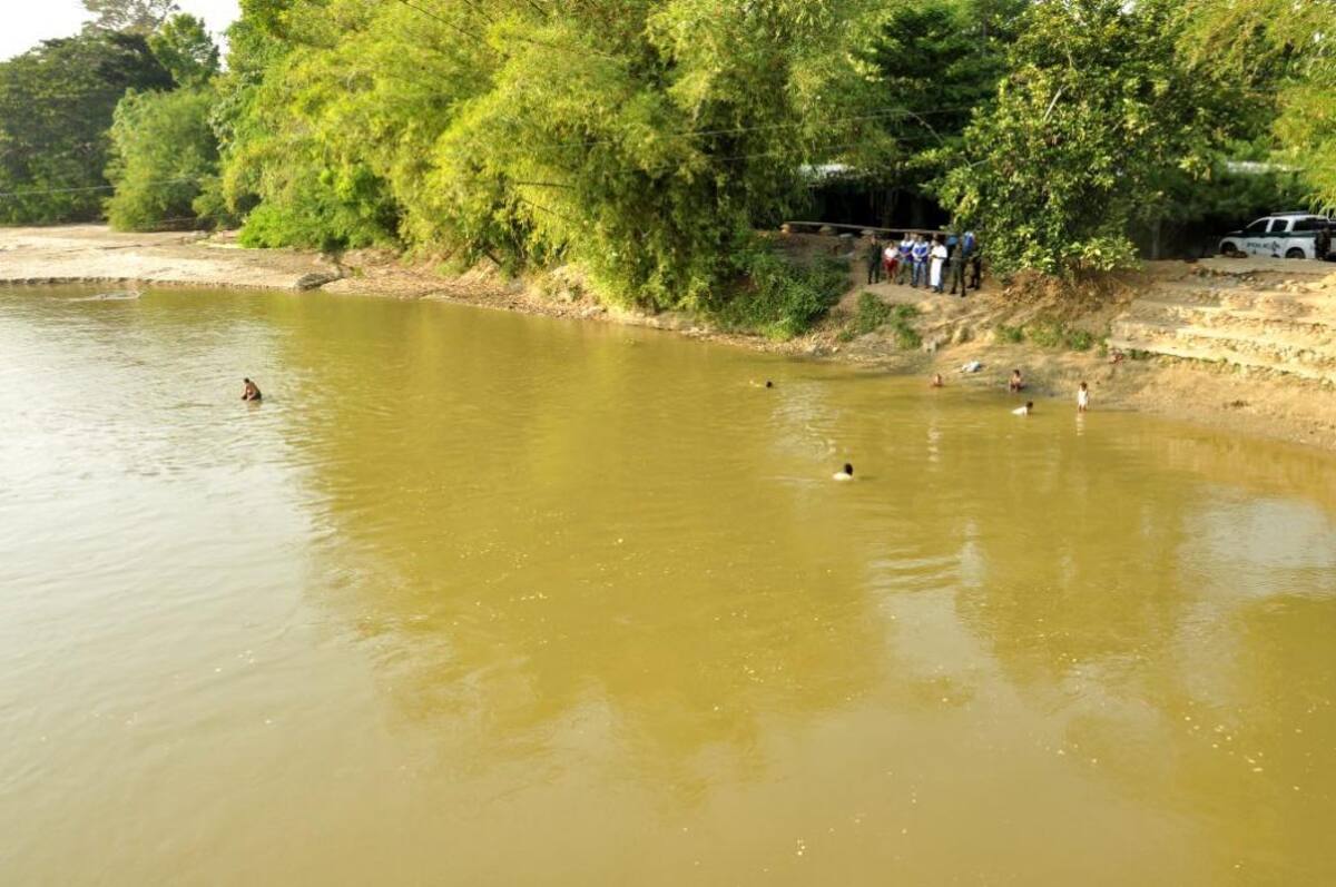Liberan 15 tortugas en Ríonegro Santander (Foto: Suministrada por la Cdmb /VANGUARDIA LIBERAL)