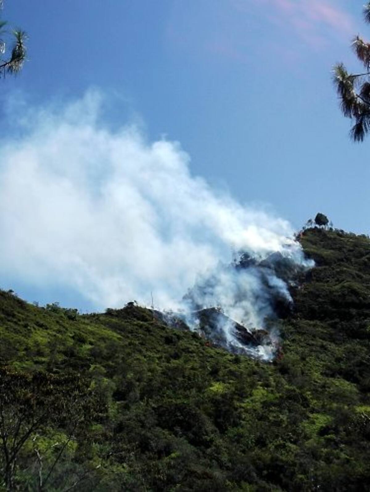 Incendio consumió 100 hectáreas de bosque en Contratación, Santander (Foto: Suministrada/ Vanguardia Liberal)