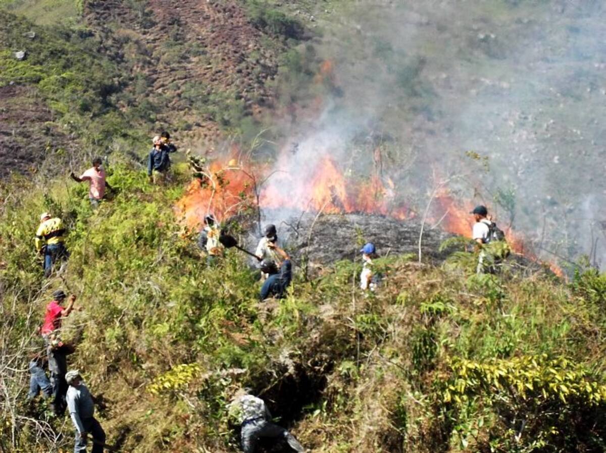 Incendio consumió 100 hectáreas de bosque en Contratación, Santander (Foto: Suministrada/ Vanguardia Liberal)