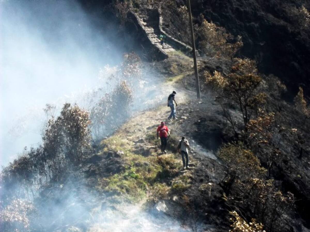 Incendio consumió 100 hectáreas de bosque en Contratación, Santander (Foto: Suministrada/ Vanguardia Liberal)
