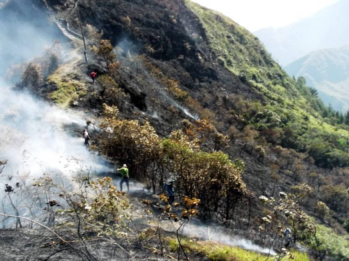 Incendio consumió 100 hectáreas de bosque en Contratación, Santander (Foto: Suministrada/ Vanguardia Liberal)