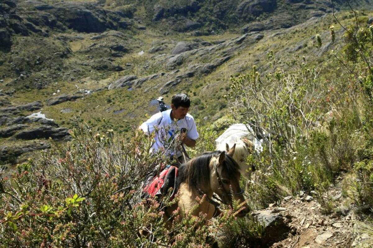 El guardabosques de la “estrella fluvial”: el Páramo de Santurbán (Foto: César Flórez León / VANGUARDIA LIBERAL)
